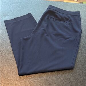 Ann Taylor Women’s Dark Blue Dress Pants
